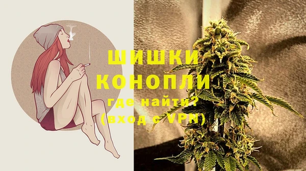 индика Магас