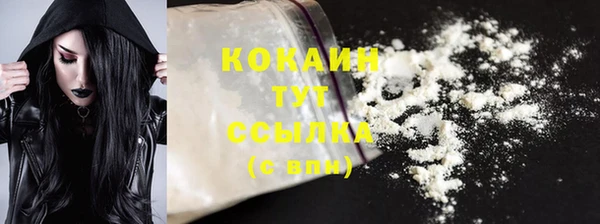 индика Магас