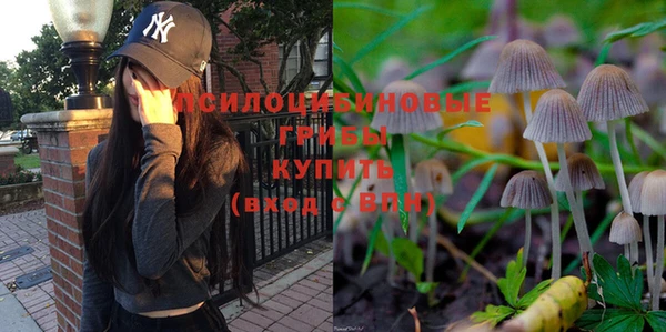 крисы Алексин