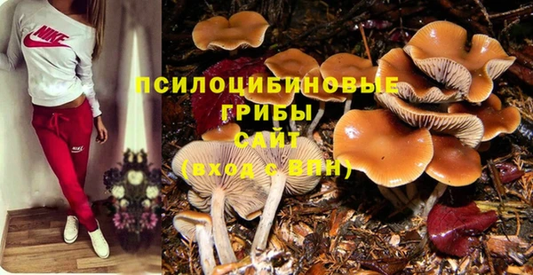 2c-b Алзамай